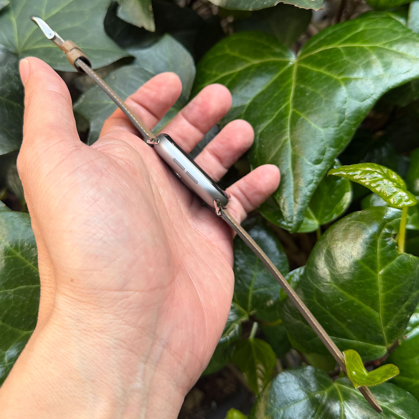 <tc>HAAS Derby French Embossed calf STRAP for Apple Watch (ETOUPE)</tc>